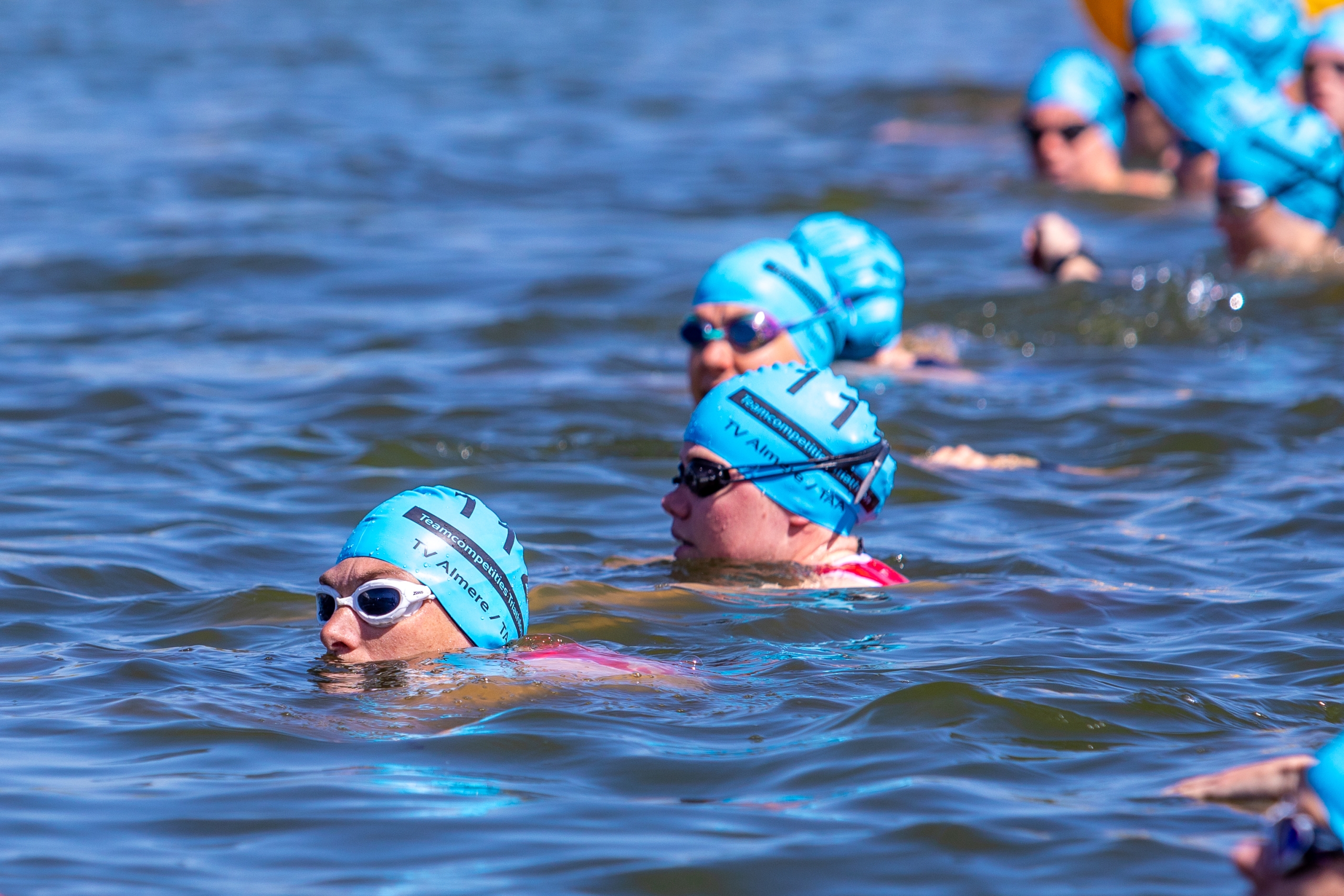 Nederlandse Triathlon Bond