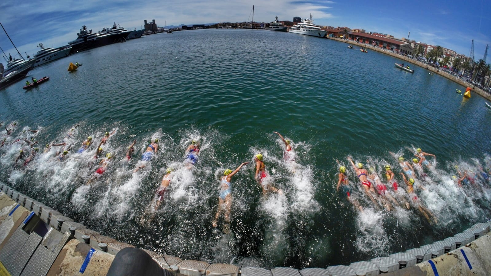 Nederlandse Triathlon Bond