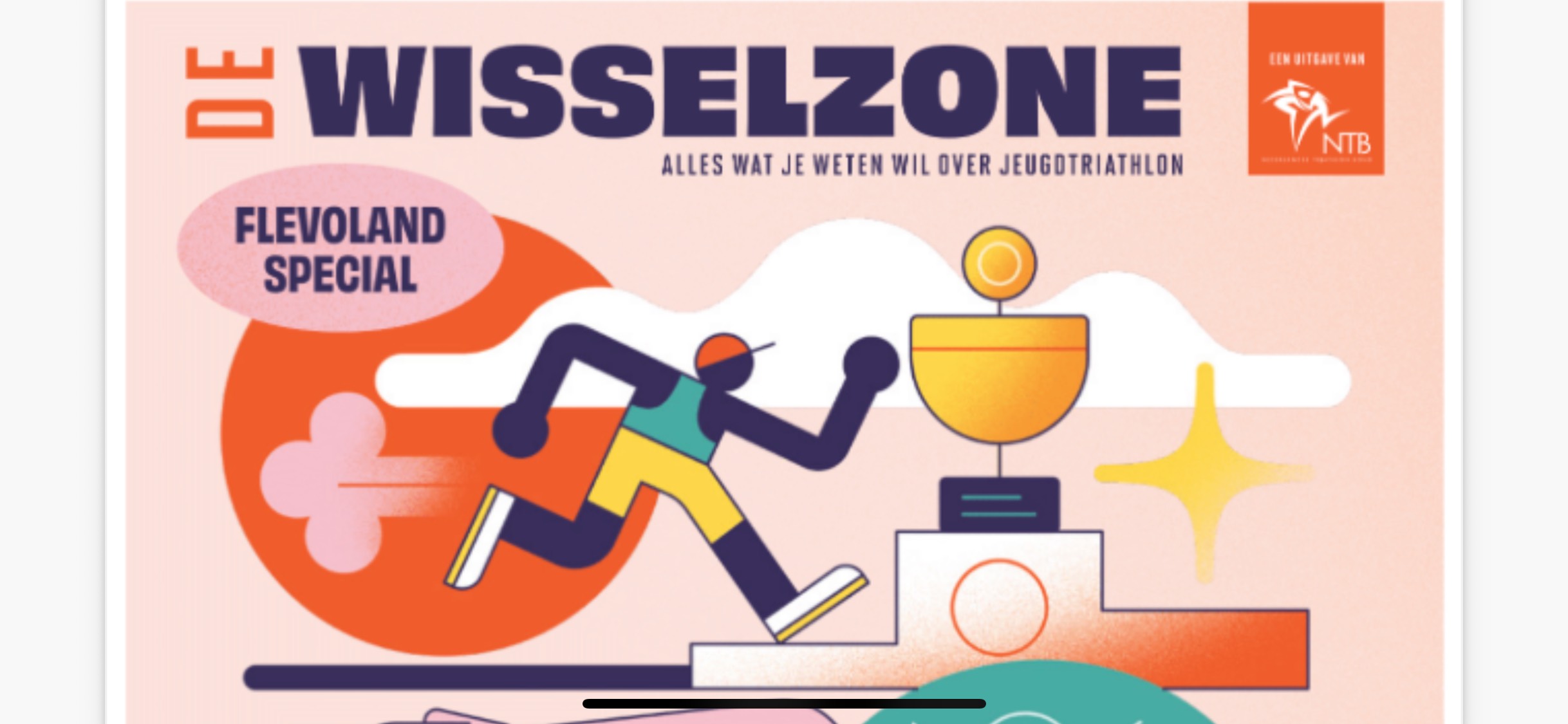 Nederlandse Triathlon Bond