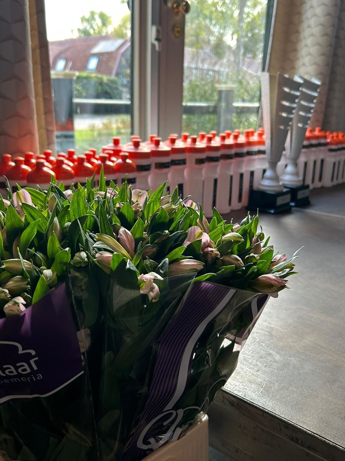 Nederlandse Triathlon Bond