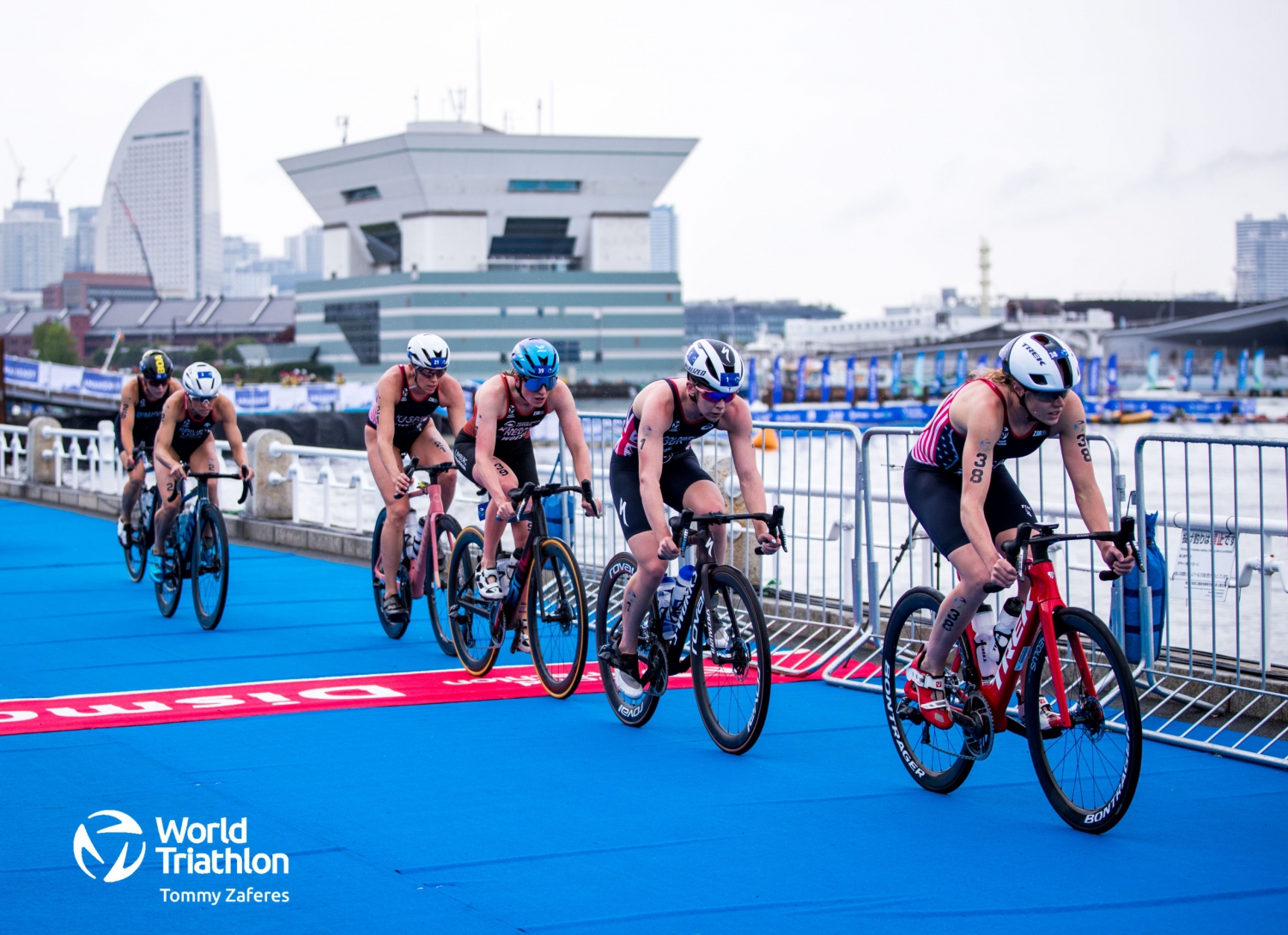 Nederlandse Triathlon Bond