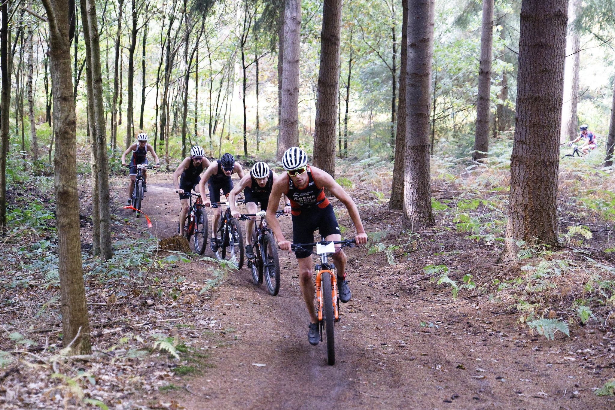 Nederlandse Triathlon Bond