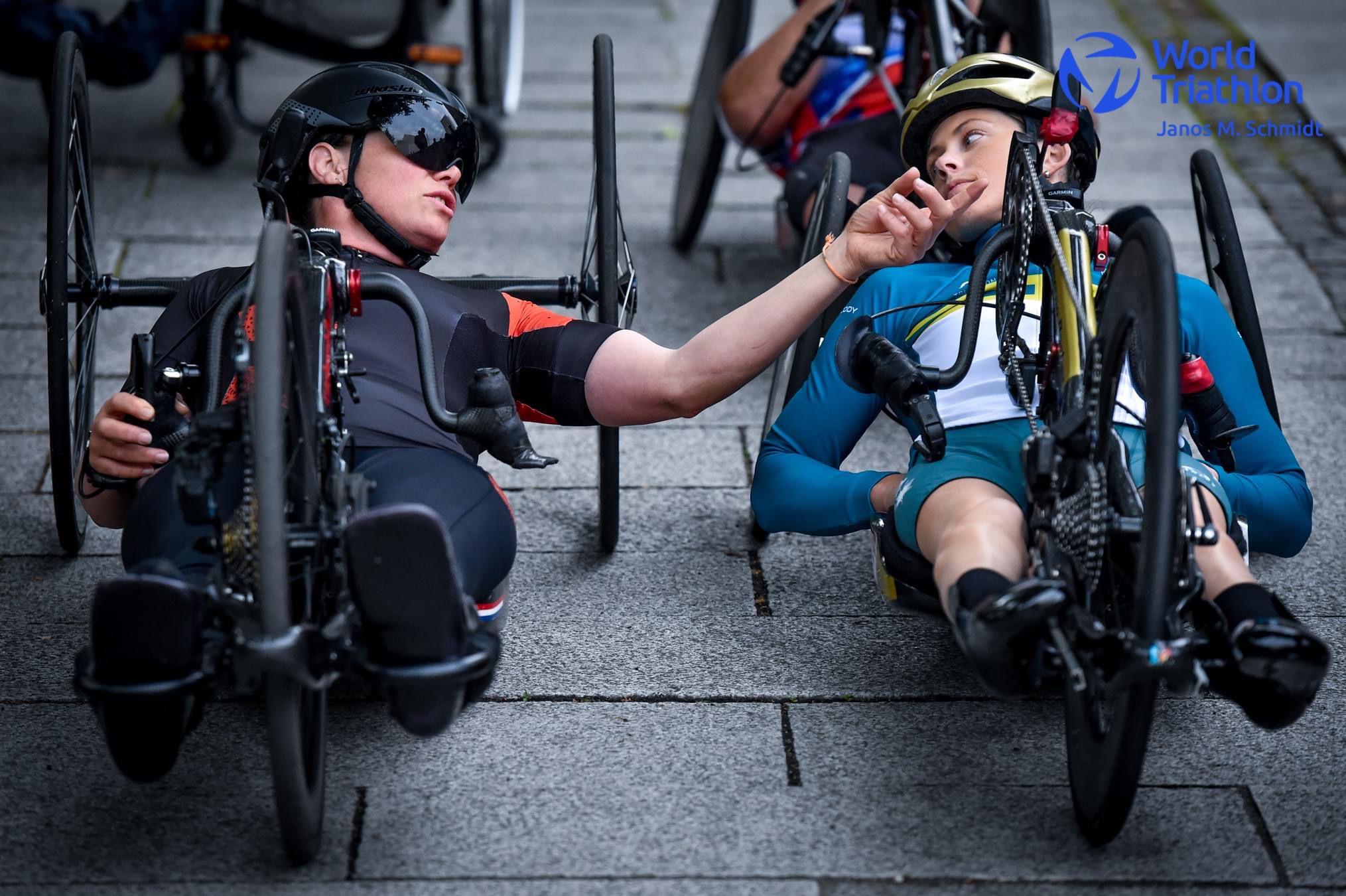 Nederlandse Triathlon Bond