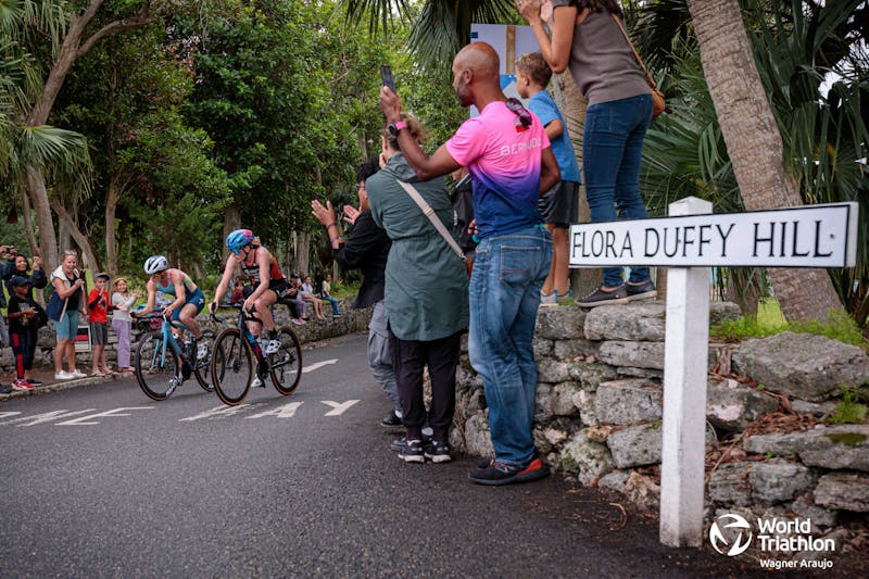 Nederlandse Triathlon Bond