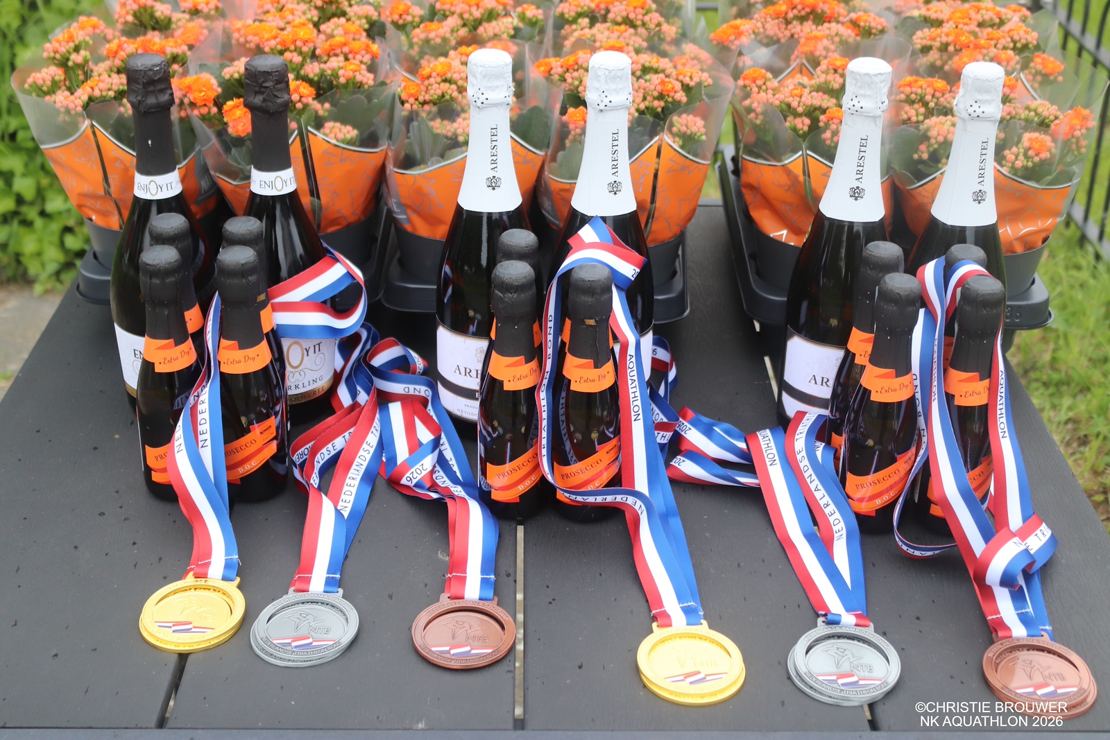 Nederlandse Triathlon Bond