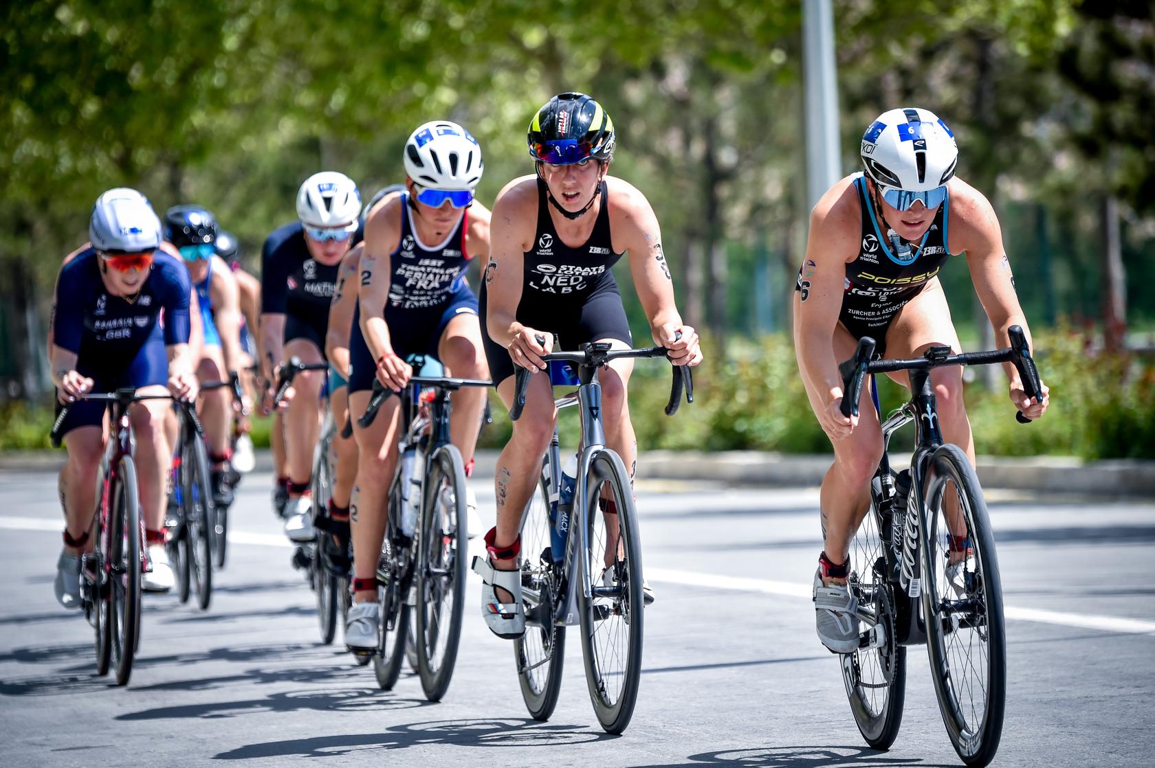 Nederlandse Triathlon Bond