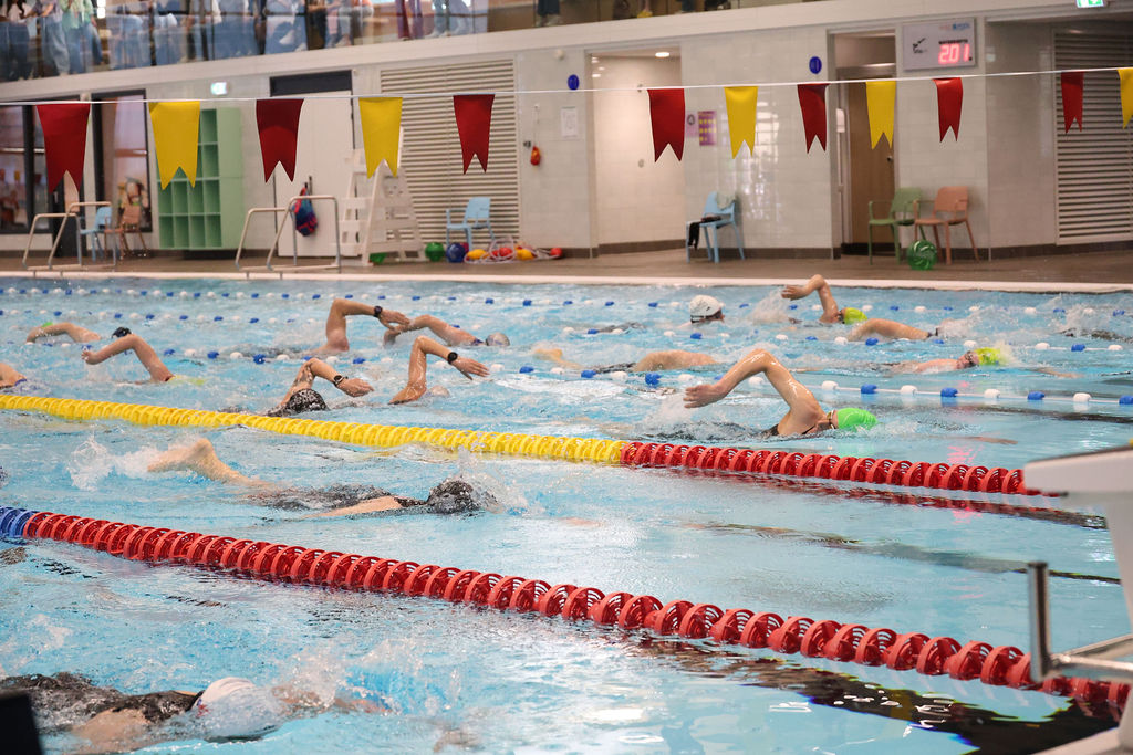 Nederlandse Triathlon Bond